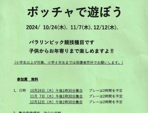 子供もお年寄りもボッチャで遊ぼう