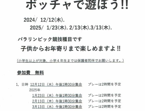 小学生以上誰でもボッチャで遊ぼう